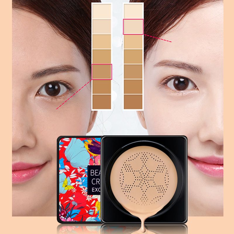 Jamur Bantalan Udara Tanaman B - Beauty Makeup Foundation ulasan dan harga